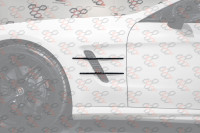 KarboniZation Mercedes SL (R231) Вставки в Крылья