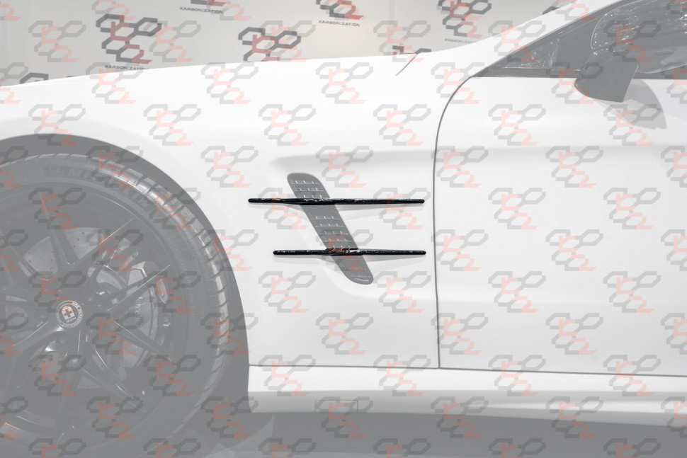 KarboniZation Mercedes SL (R231) Вставки в Крылья